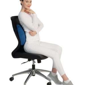 Variteks Visco Back Cushion (With Belt)